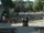 Community Gardens/Gallery