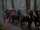 Sherwood Forest/Gallery