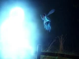 Fairy Magic