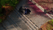 310BirdsEyeView