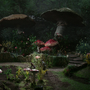 New Wonderland