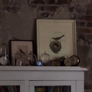 Framed bird pictures, "Welcome to Storybrooke"