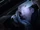 Greg Mendell/Gallery