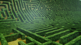 W102WonderlandMaze2