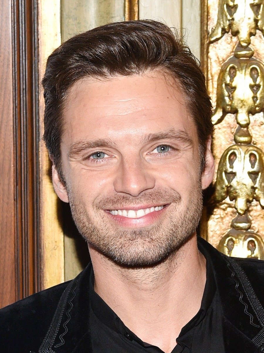 Sebastian Stan | Once a Time Wiki | Fandom