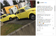 IGouat7669-YellowBug