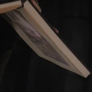 722HimFromDoingFlippedCrop.png (173 KB) Upside-down and zoomed in