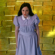 Young Dorothy's checkered dress, "Kansas"