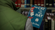 408TheCatInTheHat