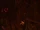 Dark Hollow (Location)/Gallery
