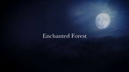 621EnchantedForest