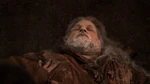 213ArloArlo!.png