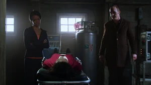 Second Star to the Right