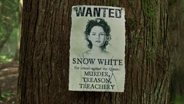 607Poster