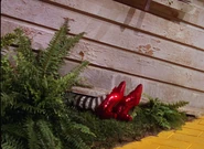 MTheWizardOfOzFeet.jpg (187 KB) The Wizard of Oz
