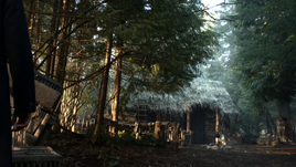 619DreamCabin
