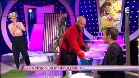 Le cirque, un métier à risque