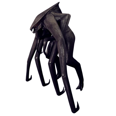 muto
シューズ 2cm　US 340?cb=20230909234653