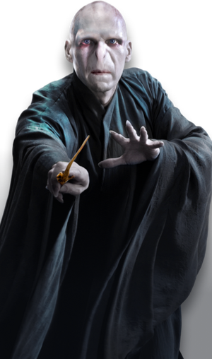 lord voldemort full body