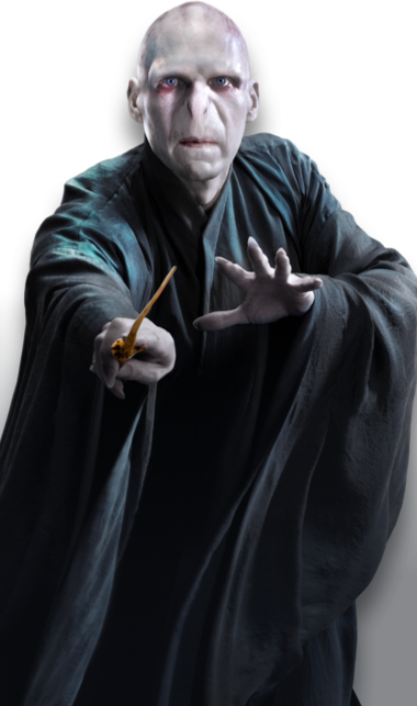 Lord Voldemort - image #3006891 on