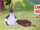 Bugs Bunny