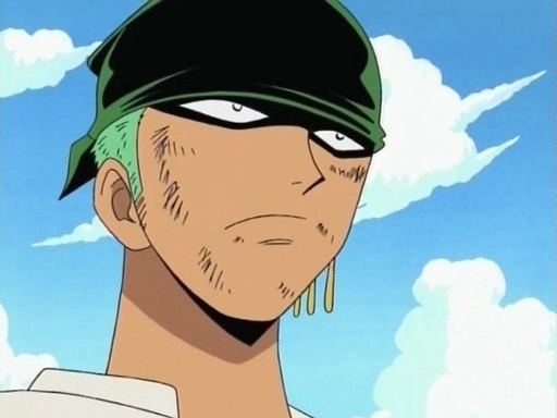 Roronoa Zoro  Personagens de anime, Anime, Zoro