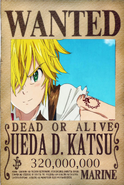 Katsu new Wanted Poster