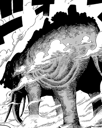 Zou One Piece Manga Wikia Fandom Zou One Piece Manga Wikia Fandom
