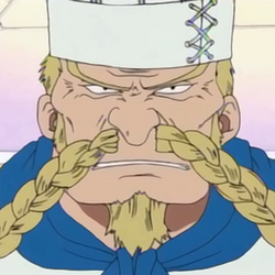 one piece turkiye wiki fandom