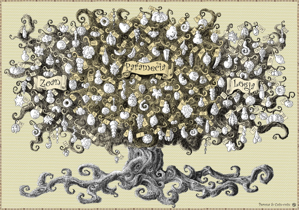 Les fruits du Démon Wiki One piece wiki (selon Water D .Midori ) Fandom