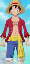 Monkey D. Luffy Anime Post Timeskip Infobox.png