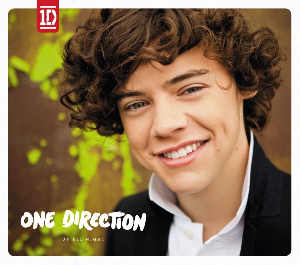 本物 One Direction Up All Night Cd 