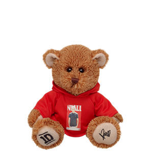 Build A Bear Workshop One Direction Wiki Fandom