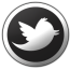 @OneDirection - Twitter