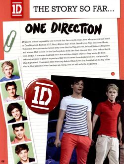 One Direction: the Official Annual 2013