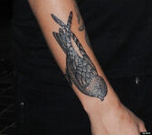 A bird on right arm January 26, 2013