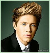 Niall-horan-one-direction-hd-wallpaper-980x1024