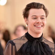 Harry Styles One Direction Wiki Fandom