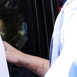 A flock of birds on right wrist November 8, 2012