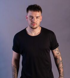 Louis Tomlinson - Wikipedia