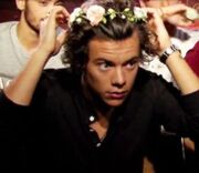 Harry Edward Styles Flower Crown