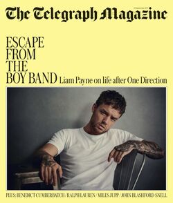 UK Telegraph Magazine Jan 2020: Louis Tomlinson One Direction Cover