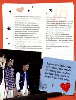 One Direction: the Official Annual 2013