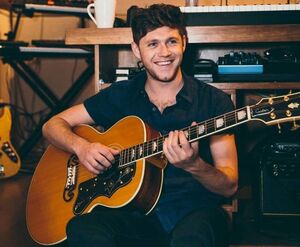 Niall-horan-LST255112-lg