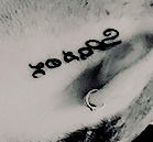 Screen Shot 2017-12-20 at 7.40.08 pm.png (38 KB) Screen Shot 2017-12-20 at 7.40.08 pm