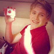 Niall wearing red and holding a phone with a Canadian flag phone case.