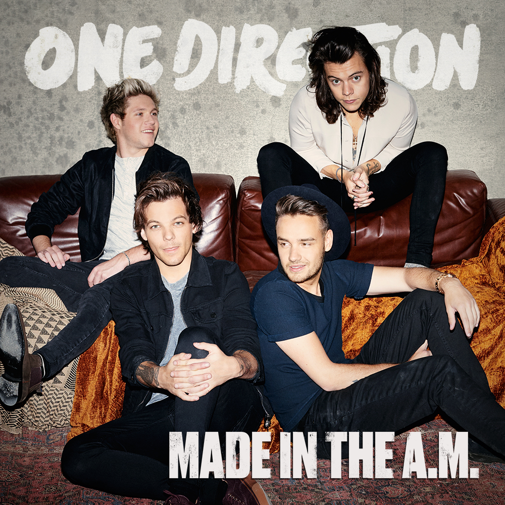 did niall write any of the songs on made in the am album