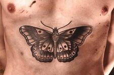 Butterfly on torso c January 22, 2013