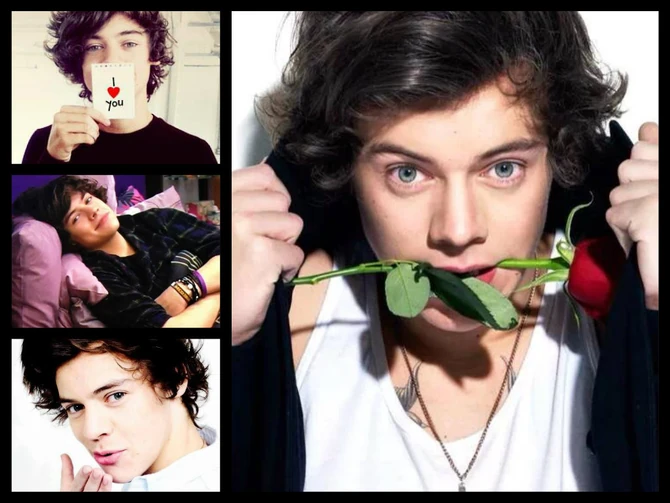 Fun Facts about Harry?