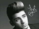 Zayn Malik/Fun Facts